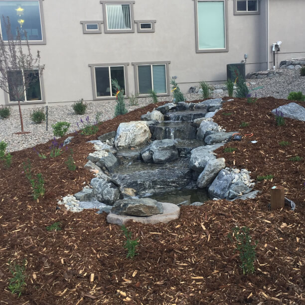 Large backyard water feature