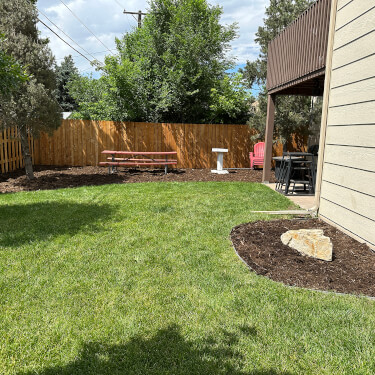 backyard fresh cut grass colorado