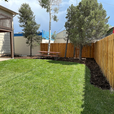 lawn maintenance colorado