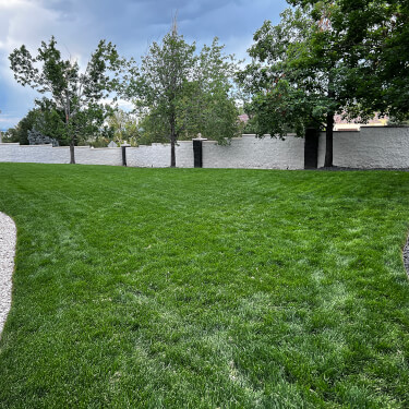 fresh cut lawn colorado